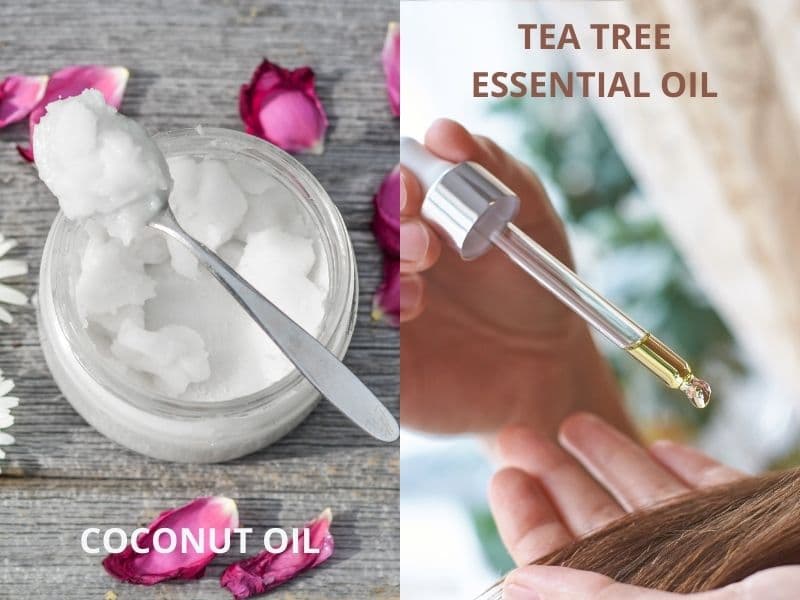 coconut oil and tea tree essential