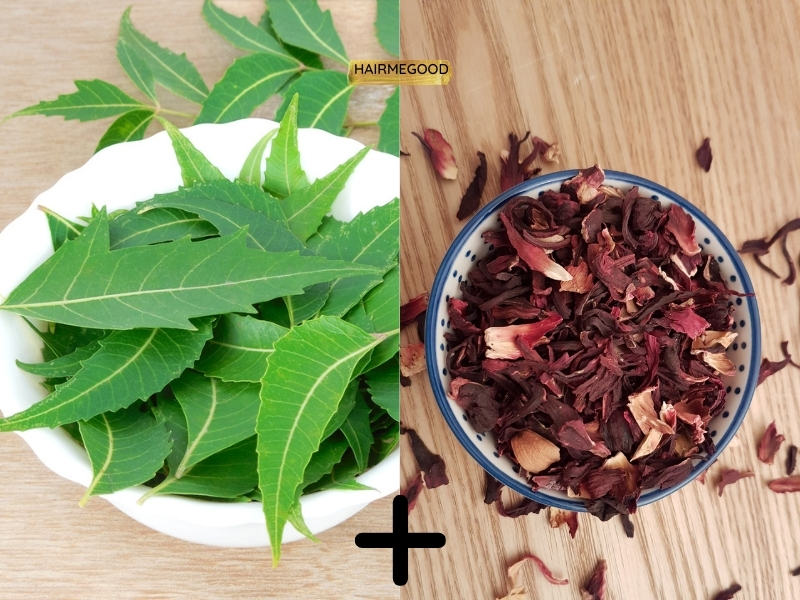 Hibiscus for hair! What's the hype? 12 DIY Options. -