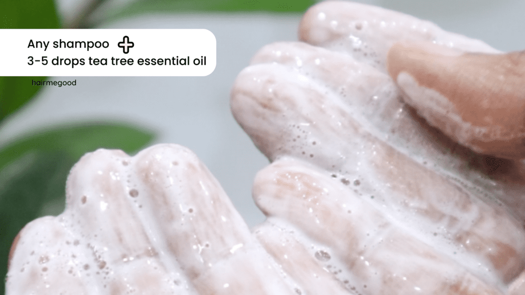 tea tree essential oil in shampoo DIY